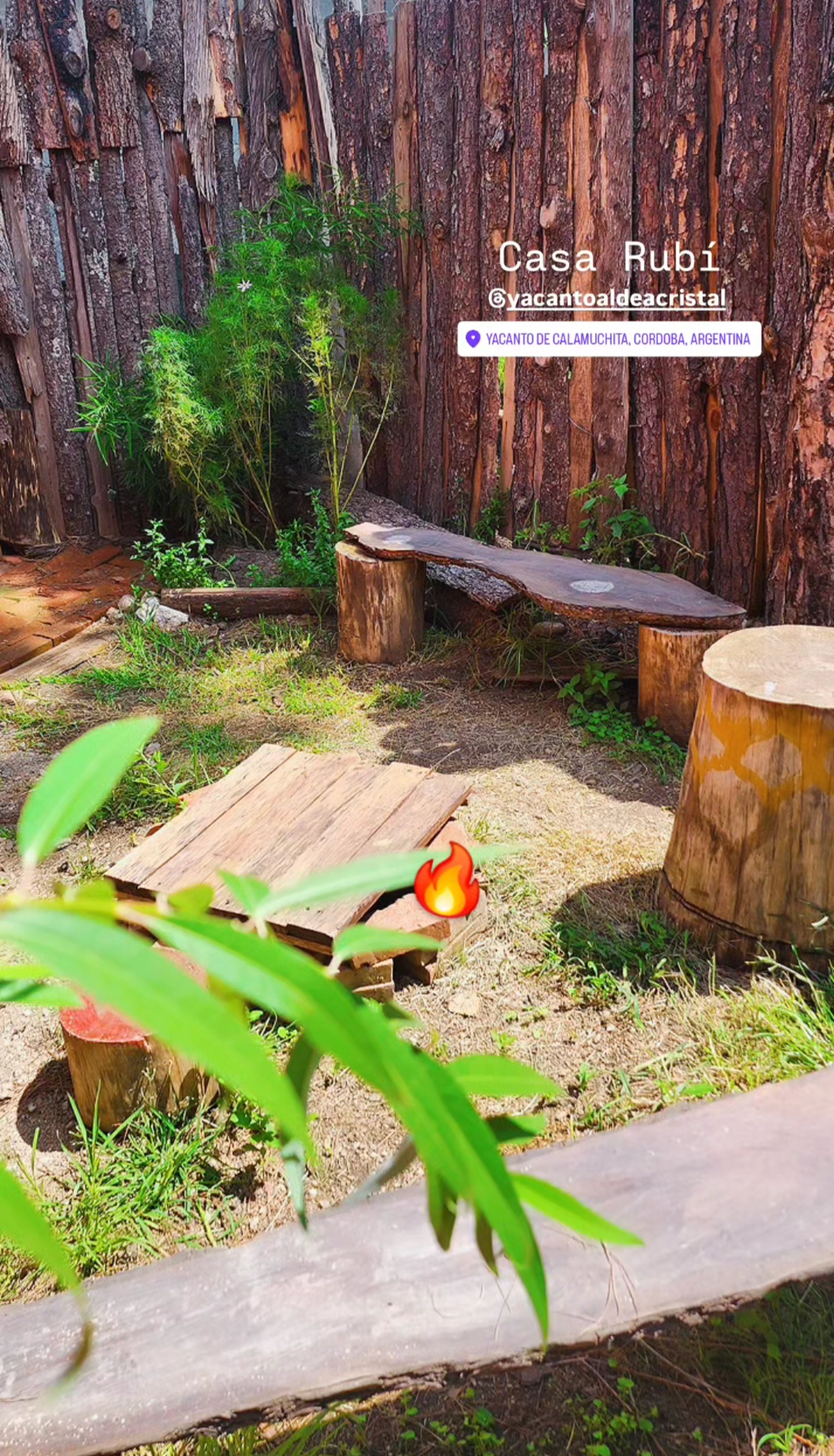 Screenshot_20250219_134649_Instagram